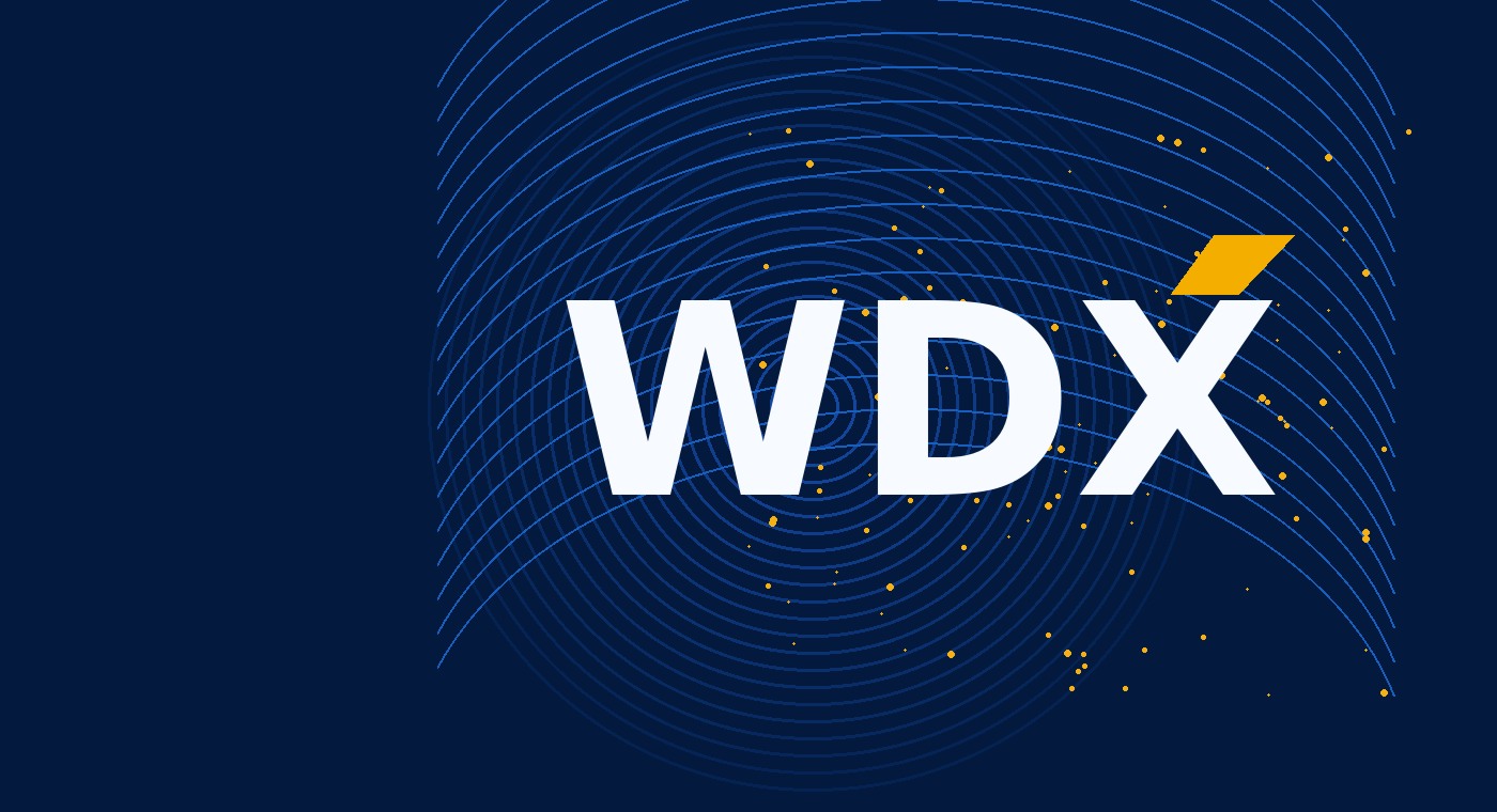 Abstract global digital network representing WDX.com